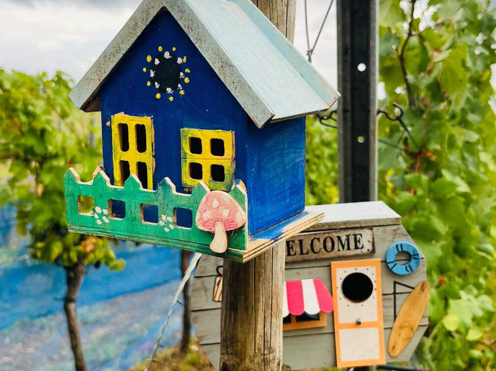 22-09-10 17-47-44 1966